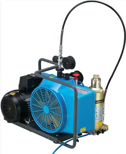 Compressore ad alta pressione 300bar 2.2kw 4kw per il riempimento di bottiglie per immersioni fatte in cina offerta OEM per la vendita calda