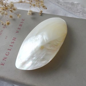 Natural Raw Mother of Pearl <strong>Shells</strong> Price Polished <strong>Shells</strong> Pearlized Seashells Wholesale From Vietnam - Product Image 3