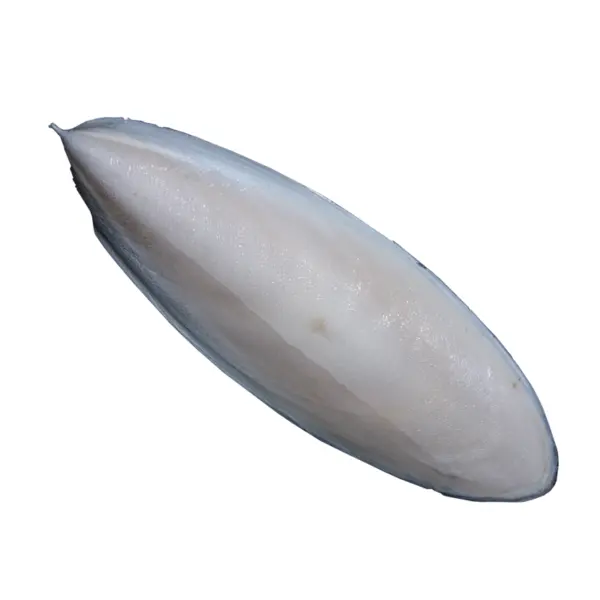 High SUPPLIER of DRIED CUTTLEFISH BONE/ HIGH CALCIUM CUTTLEFISH BONE FOR SALE/ BUY CUTTLEFISH BONE AT AFFORDABLE PRICES