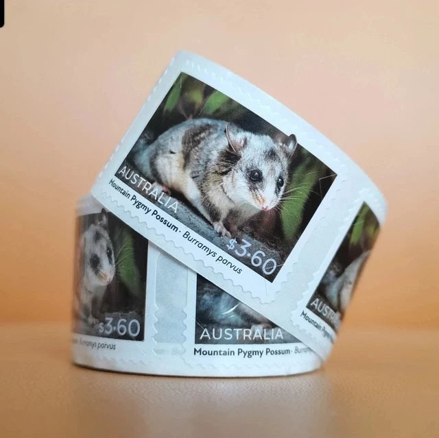 Australian Volume 3.60 Souris