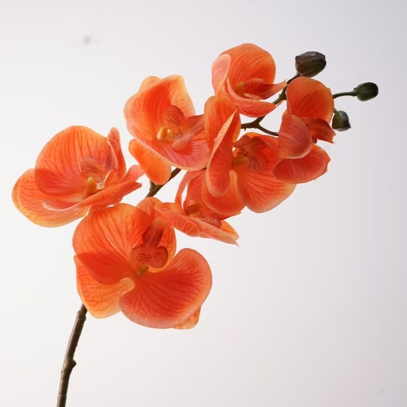 Arancione