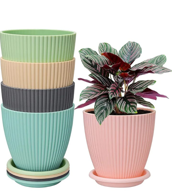 สีเขียวอ่อน