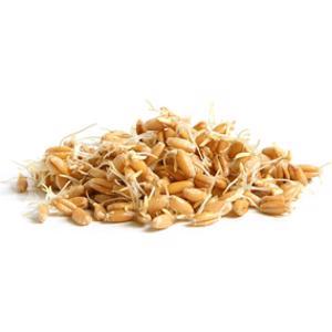 High Quality Bulk All-Purpose Farm-<strong>Fresh</strong> Dried <strong>Wheat</strong> Flour Wholesale Prices