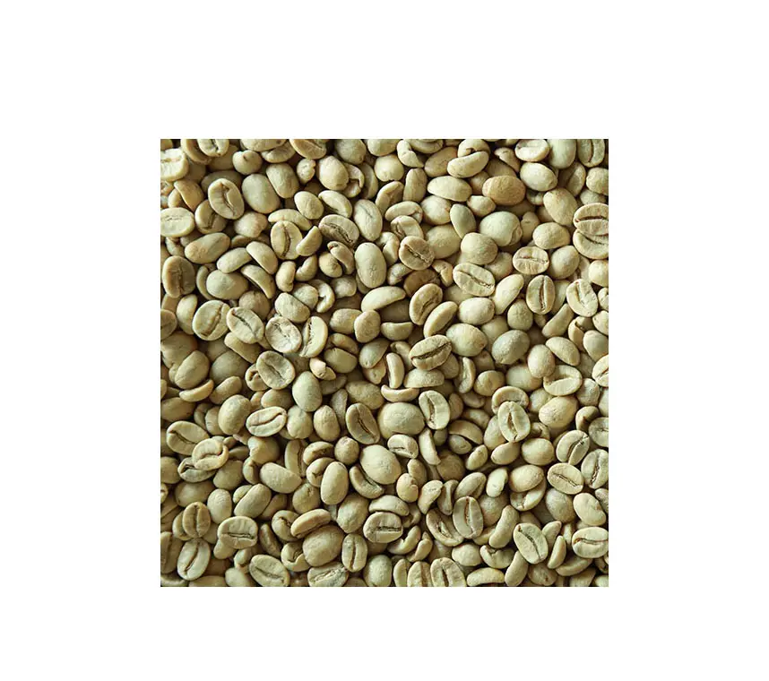 Wholesale Custom Brand coffee beans arabica bag high quality