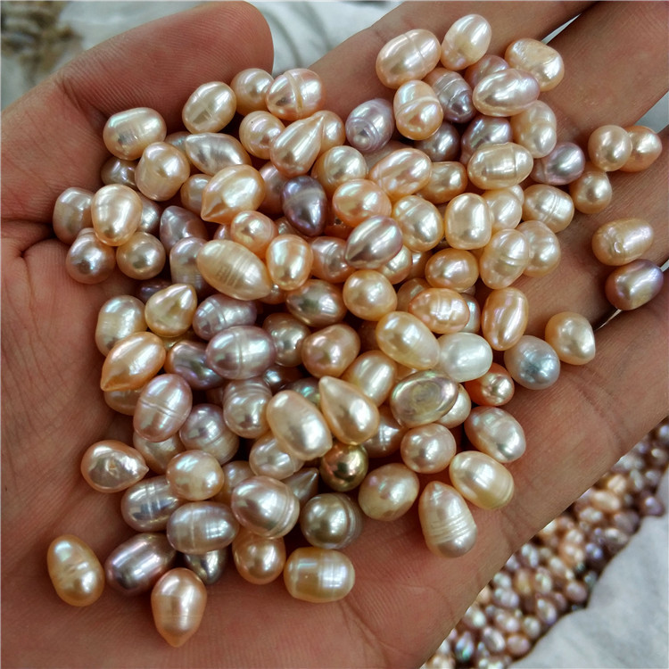 Une huître, une perle (Perle de riz 3A ; Couleurs mélangées, 5-6 mm)