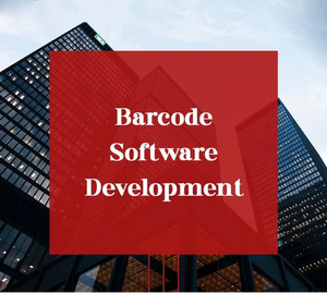Bestseller Barcode Software Development Service mit neuester Technologie Kunden spezifische Funktion zum Verkauf
