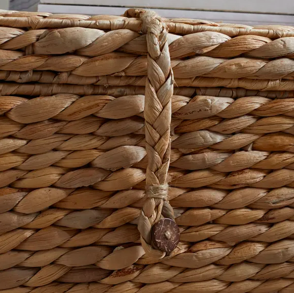 Jacinthe d'eau naturelle