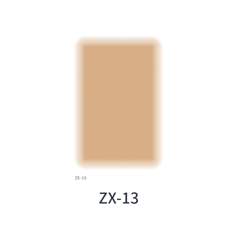 ZX-13