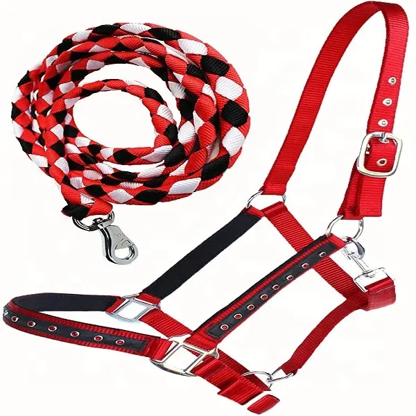 Nylon Horse Halter Hardware Padded Lead Rope Tack Neoprene padding cheeks & nose for comfort different styles designs and colors