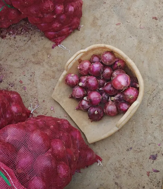 ספקי בצל טרי באיכות גבוהה בסין בצל טרי בצל אדום