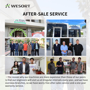 WESORT 6SXZ-340光学种子色选机小粒豆脉冲形状色选机 - Product Image 6