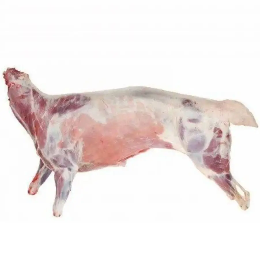 Viande de chèvre fraîche congelée Halal/Viande de mouton/agneau de qualité casher au prix de gros