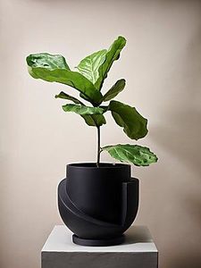 Çok rahat bir Ferm yaşam bahar yaz 2025 Curate ve ekran küvet ekici en iyi bahçe tencere olukları ve yetiştiricilerinin aralığı - Product Image 6
