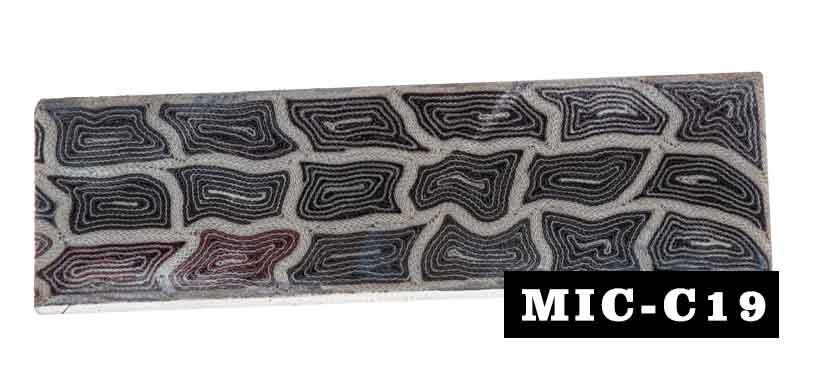 MIC-C19