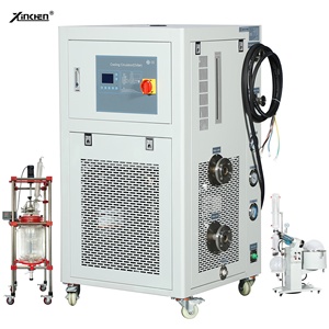 Lab Ultra <strong>Chiller</strong> -25C <strong>Low</strong> Temperature Circulating Refrigeration Cooling Circulator Pump Compressor - Product Image 1