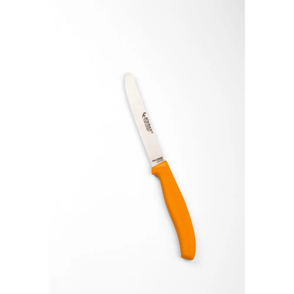 Couteau à tomate dentée Restaurant hôtel accueil couteaux de cuisine en acier inoxydable de haute qualité meilleur prix couteau 2023 nouveaux arrivages