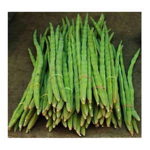 新鲜蔬菜鸡腿出口商高品质新鲜鸡腿水果蔬菜出口商
