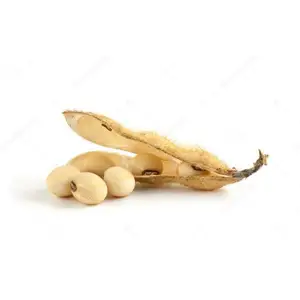 Standard Quality Best Selling Non Gmo Soybean Newest Yellow Soybeans with good Nutrients at Market Manufacturer Price