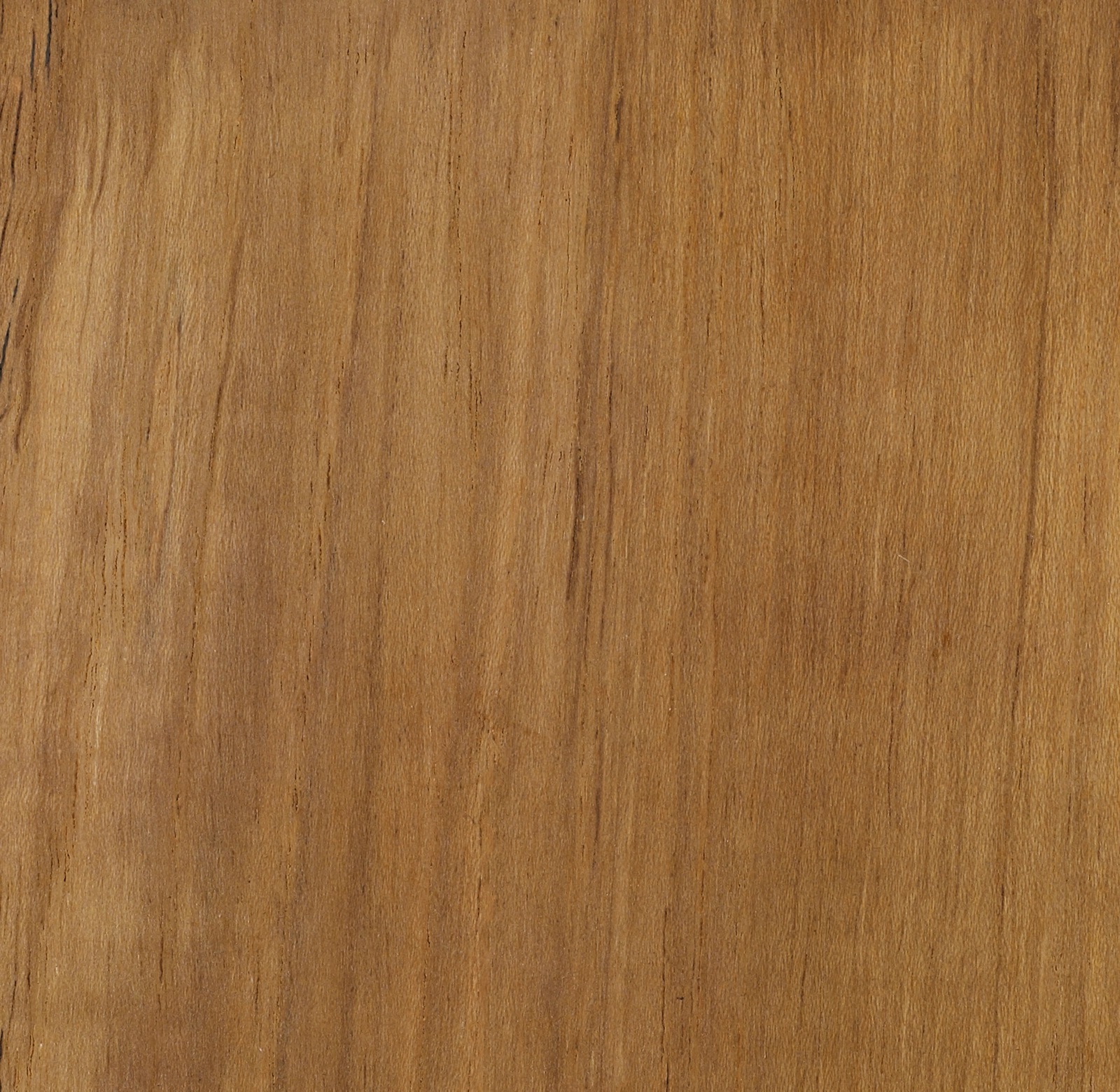 Natural Wood Color