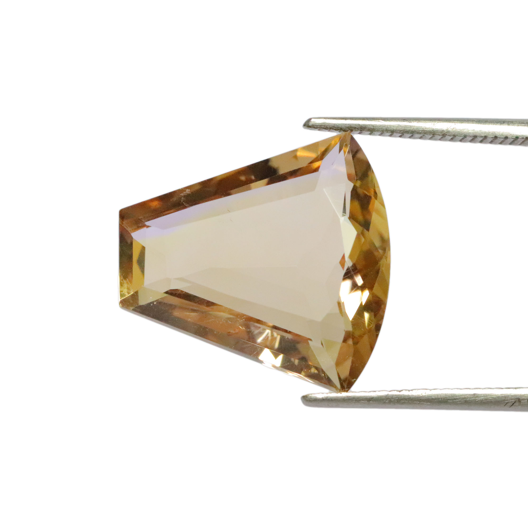 สีชีวภาพ