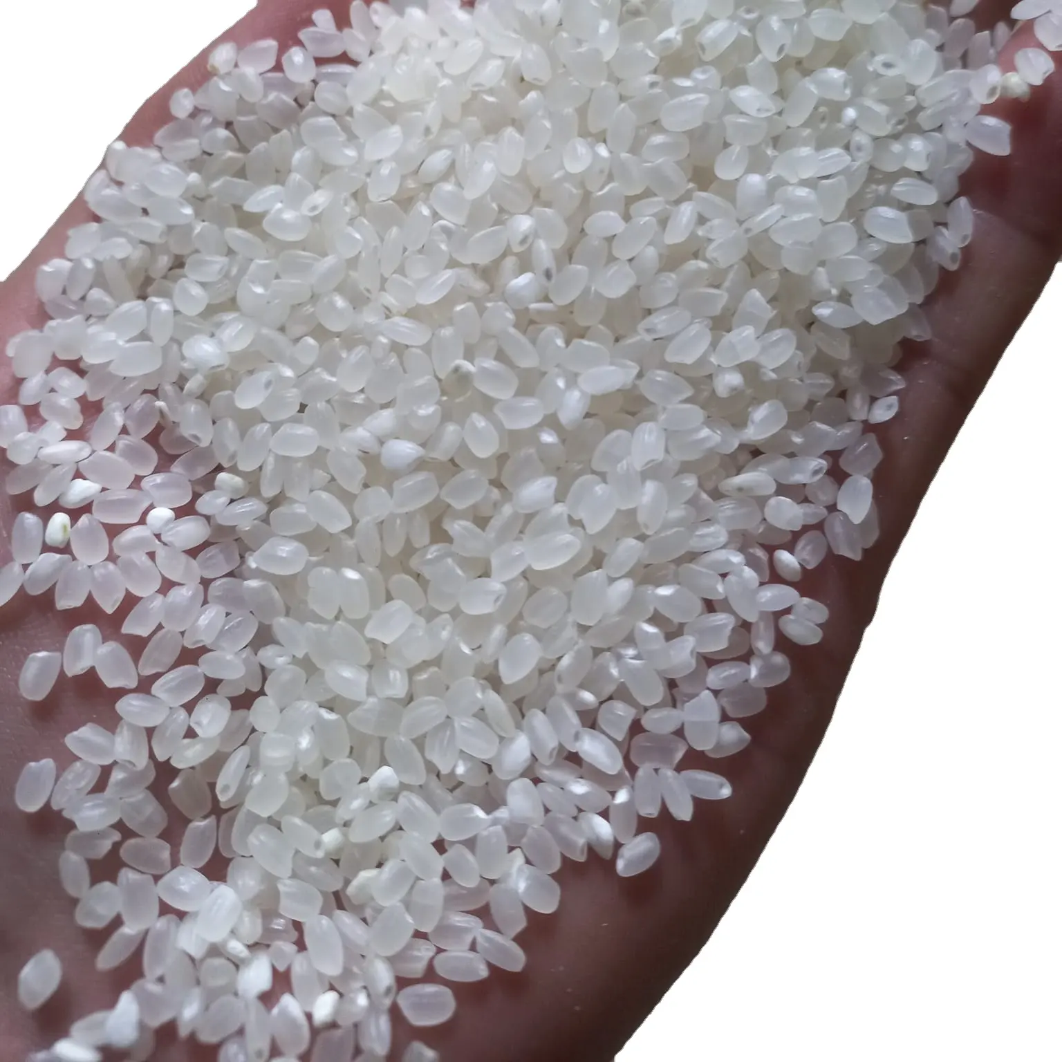 أرز كالورز المتوسط جابونيكا-أرز مستدير لسوشي فيتنام المورد-ليندا ما. SAPP