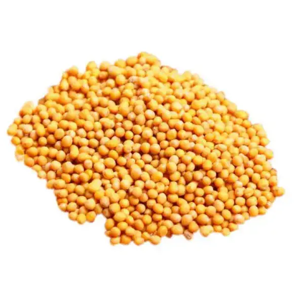 Vendita calda giallo bianco semi di senape di imballaggio in sacchetti per la vendita olio di semi di senape indiana semi di senape giallo