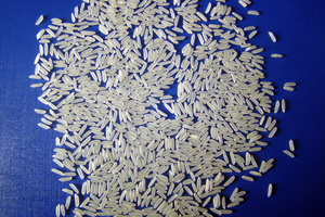 RIZ ST25 BASMATI ARROZ vietnam'dan dünyanın en iyi pirinci ile yüksek kalite-MR JUSTIN - Product Image 4