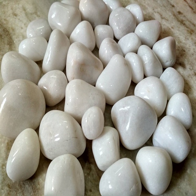 Snow White Tumbled