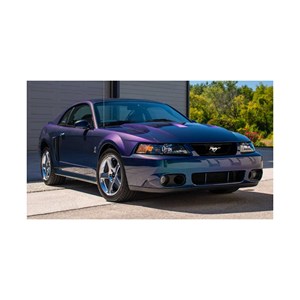 Farklı stil ve üst performans ile yeniden satış için güvenilir SVT Cobra - Product Image 3
