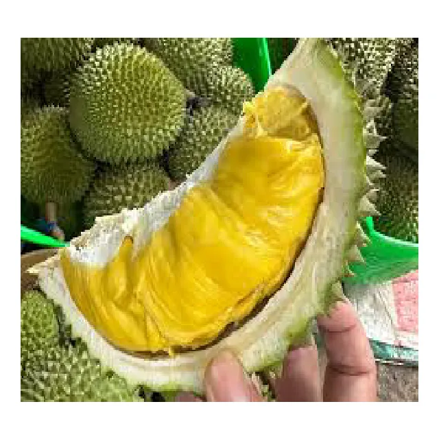 Frozen Durian Uit Vietnam