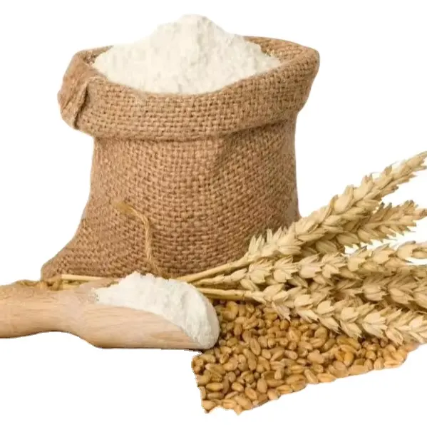 Farinha de trigo multiuso 50 kg Farinha Produto egípcio Farinha de trigo nutricional para venda