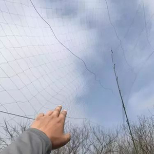 Polyester Silk Network to Hunt Birds,birds <strong>Nets</strong> for Catching Canary Birds Mist <strong>Net</strong> - Product Image 4