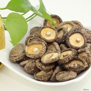 Best Selling 2024 Wholesales oyster Mushroom - Dried <strong>Shiitake</strong> Mushroom High Quality Dried Black Forest Mushroom From Vietnam - Product Image 3