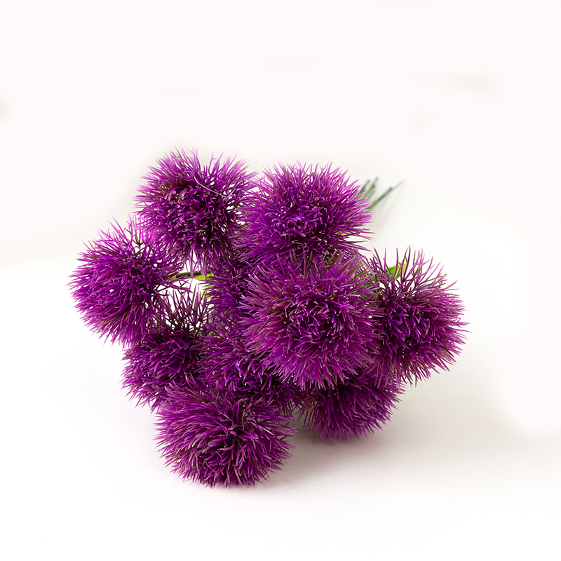 Pourpre