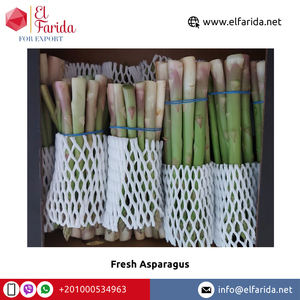 Wholesale Price Quality 100% Natural Fresh Vegetables <strong>Asparagus</strong> From Egypt Origin Supplier and Exporter