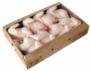 Top Brazilian / Brazilian Complete <strong>Chicken</strong> High Quality <strong>Chicken</strong> Meat Wholesale Prices Fresh Frozen Halal Frozen <strong>Chicken</strong>