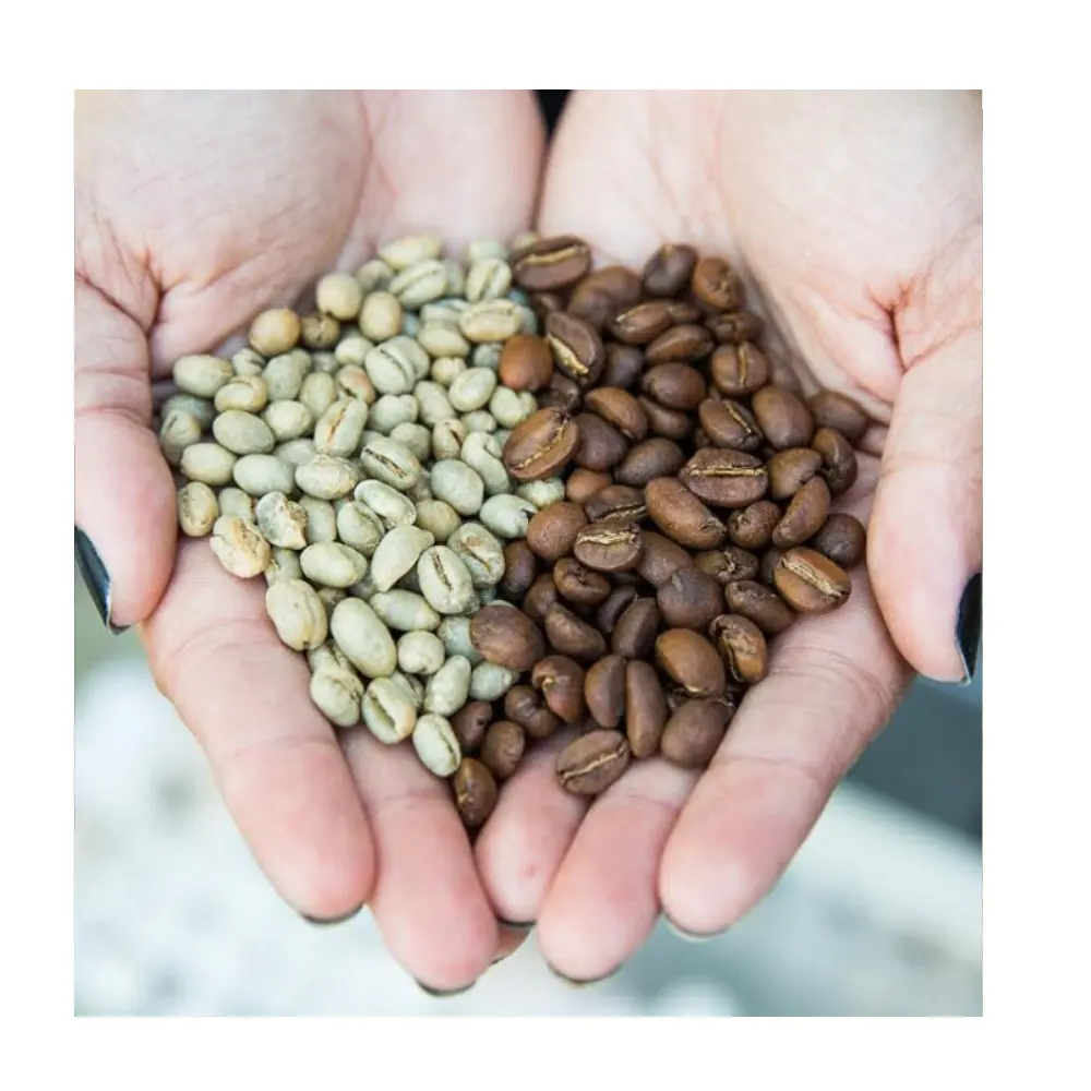 Café vert Grains de café torréfiés à vendre Acheter et vendre en vrac Arabica Imprimé sur mesure Emballage en gros