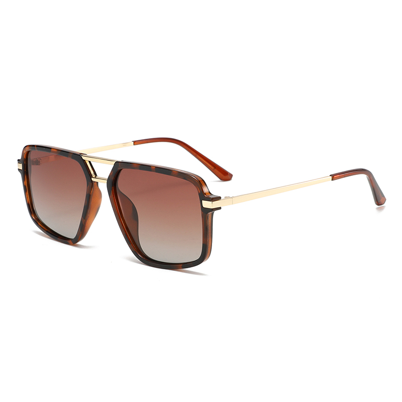 C4: Tortoise/ Brown Gradient