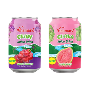 2024 aromalı meyve suları meyveli taze Mango suyu konsantresi saf ve su ile canlandırıcı - Product Image 6