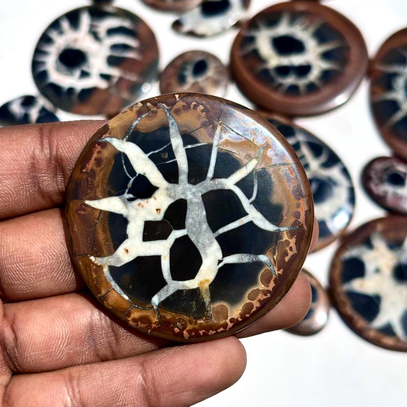 เช่นเดียวกับในภาพ