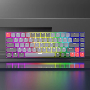 60% Layout 68 Keys Ultra-Slim Hot-Swappable Wired USB RGB Mechanical <strong>Keyboard</strong> with Low-Profile Keycaps Optical Red Switch