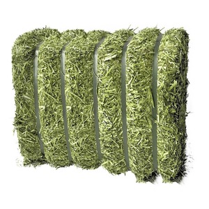 Toptan kabayonca saman toplu tedarik hayvancılık besleme için en iyi fiyat yüksek kalite taze kabayonca saman - Product Image 5
