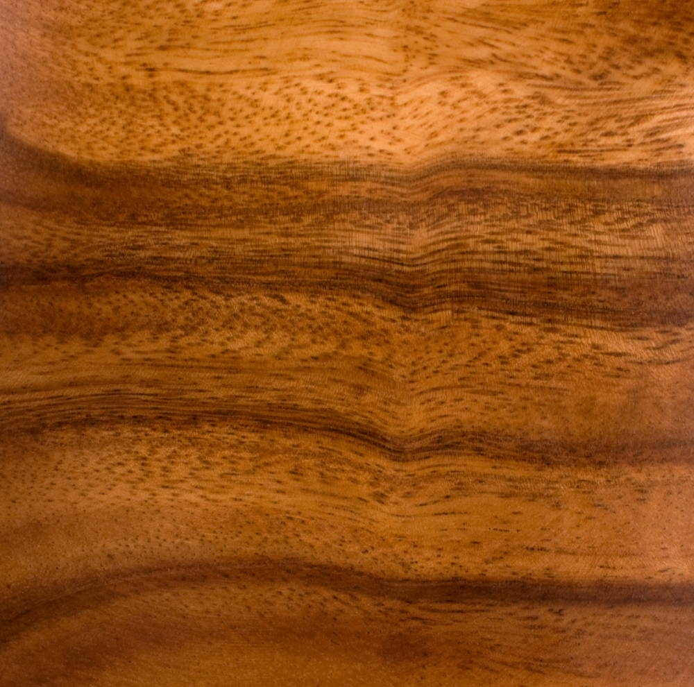 Bois d'Aecia naturel