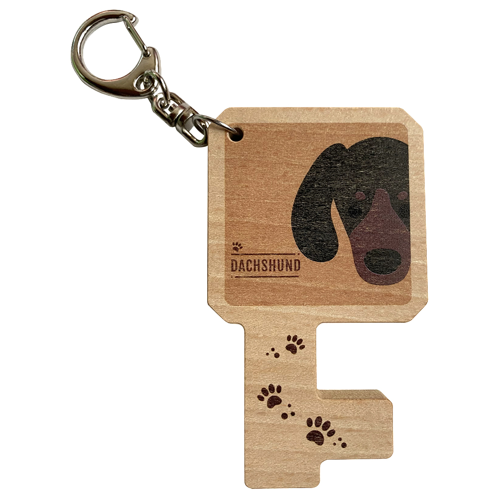 Dachshund