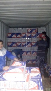 פסטה באיכות גבוהה במיוחד 400gm פסטה חיטה מזוקקת בשקית או קופסה