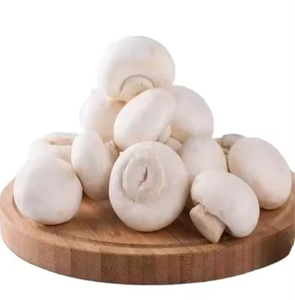 Toàn bộ nấm brined champignon trong trống-champignon trong trống, nấm trong trống - Product Image 5