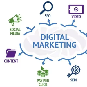 Website Design Marketing B2B e-commerce webdevelopment Wordpress Web Design Marketplace Webshop costruttore di e-commerce - Product Image 1