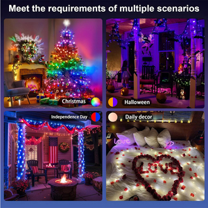 Festival de vacaciones Decoración Cambio de color Aplicación Control remoto Rgb String Light Smart Led Ball String Fairy Lights - Product Image 4