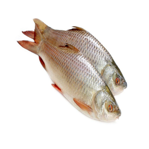En kaliteli dondurulmuş ROHU balık bütün/ROHU balık - Product Image 4