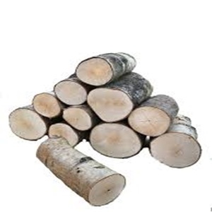 Round <strong>Teak</strong> and Pine Logs for Sale for Beech Woodworking Projects - Product Image 5